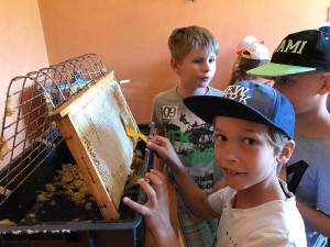 Bienen-WS_3.7.2019_2.+3.Klassen_13