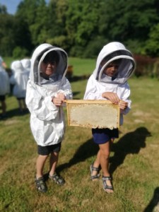 Bienen-WS_3.7.2019_2.+3.Klassen_2