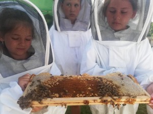 Bienen-WS_3.7.2019_2.+3.Klassen_3